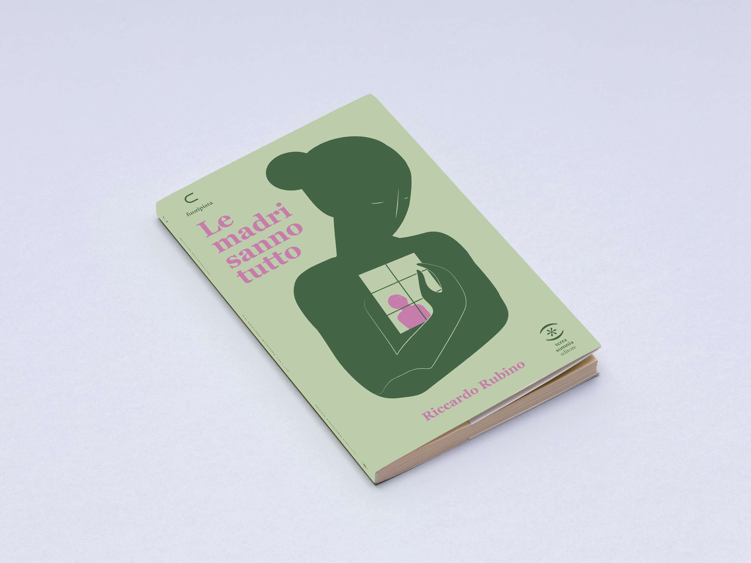 Le Madri sanno tutto libro