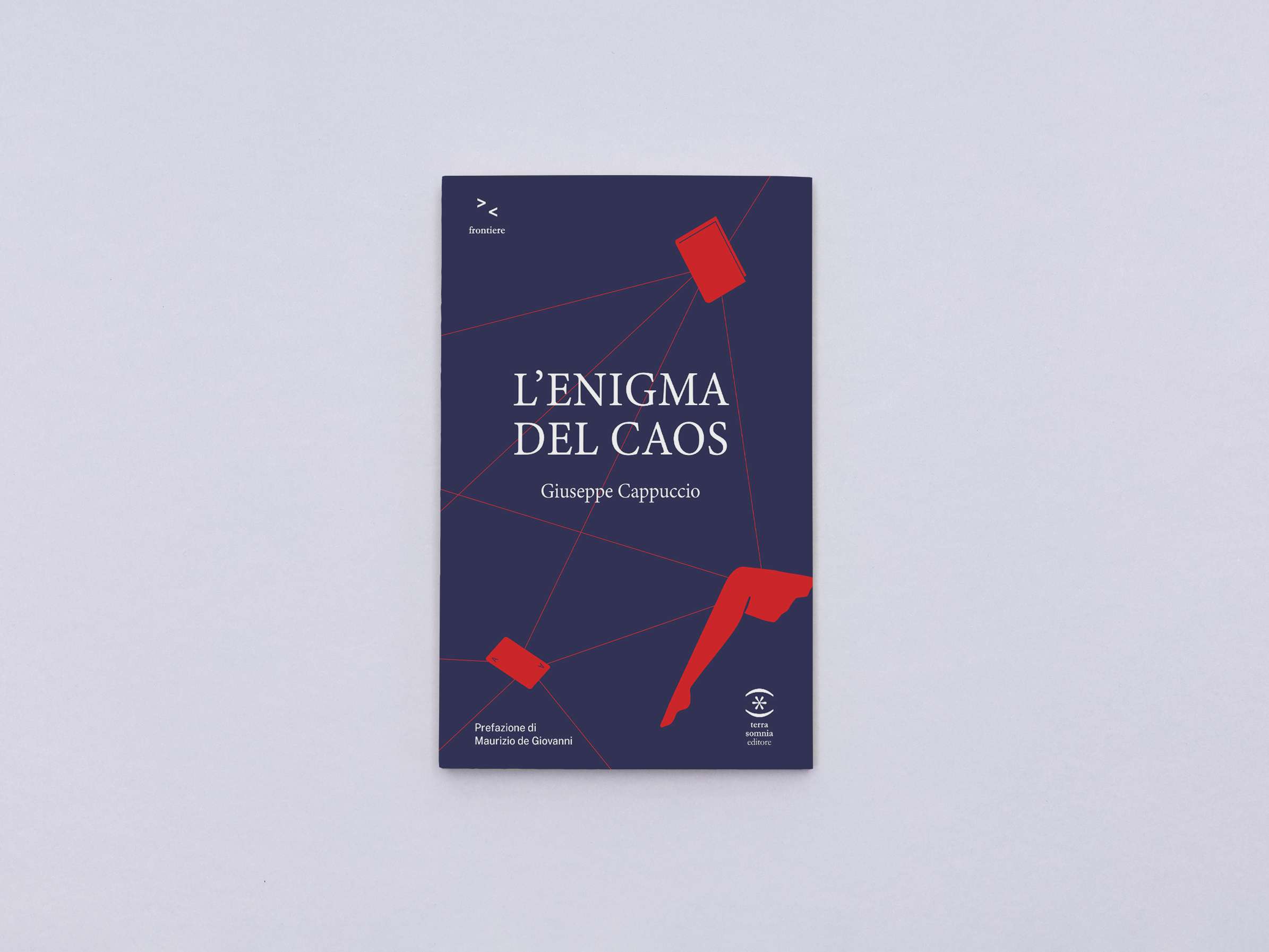 L'enigma del caos libro