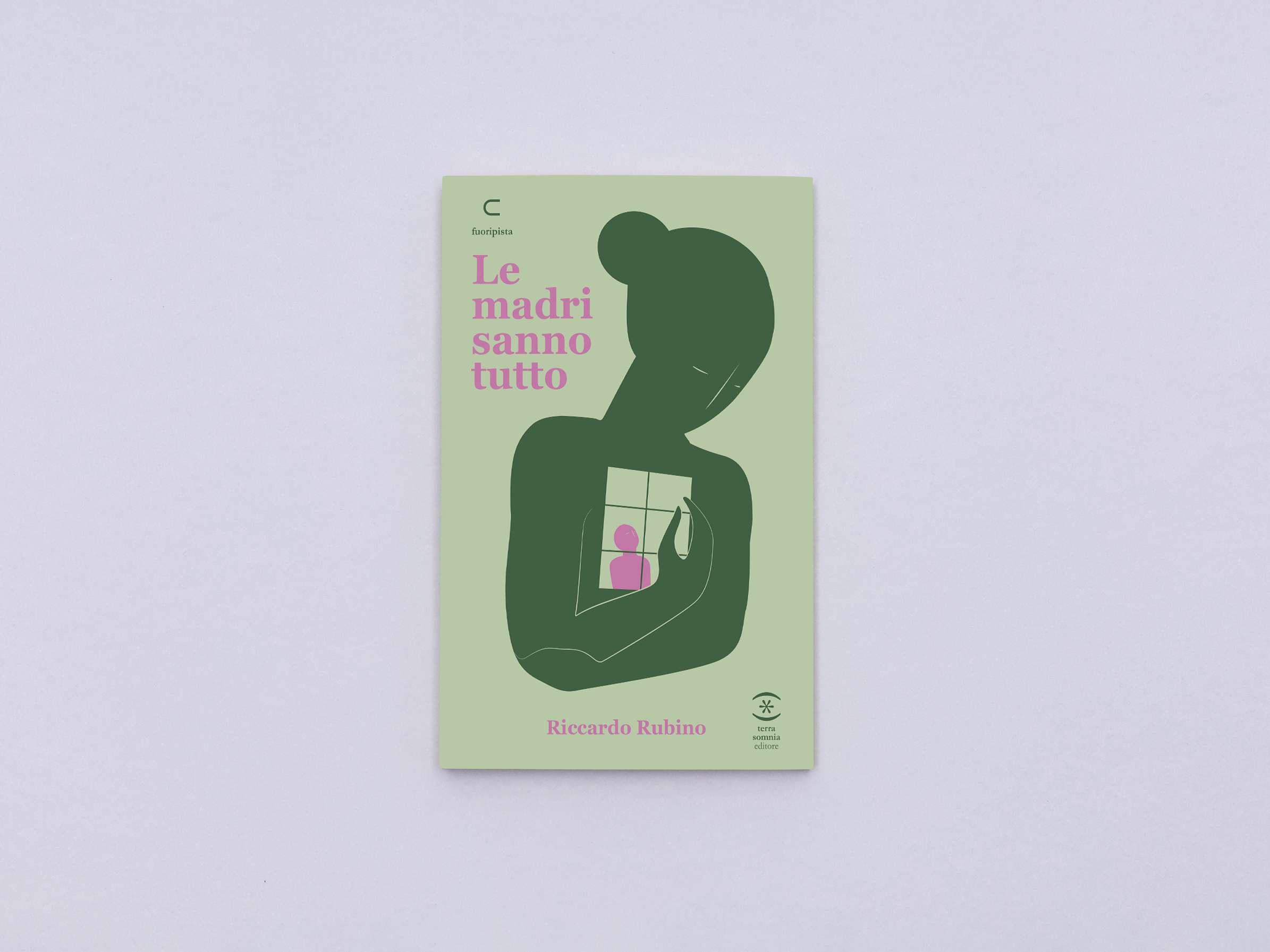 Le Madri sanno tutto libro